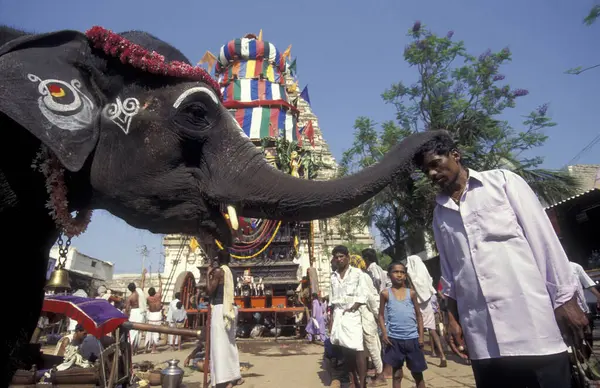 Hindistan 'ın Karnataka ilinin Hampi kasabasındaki Virupaksha Tapınağı' nda düzenlenen Holi Hindu Tapınağı Festivali 'nde fil. Hindistan, Karnataka, Mart 1998