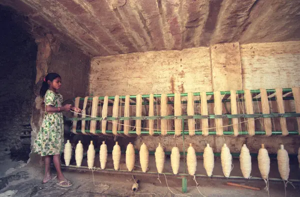 Hindistan 'ın Karnataka eyaletindeki Mysore şehrinde koyun dokuma yün fabrikasında çalışan bir çocuk. Hindistan, Mysore, Mart 1998