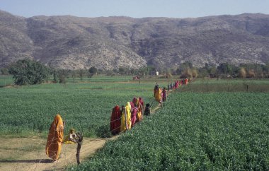 Geleneksel giyinmiş Rajasthani halkı, Hindistan 'ın Rajasthan ilindeki Pushkar kasabasında düzenlenen geleneksel cenaze töreninden sonra evlerine dönüyorlar. Hindistan, Pushkar, Ocak 1998