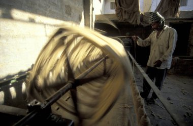 Hindistan 'ın Rajasthan eyaletindeki Jaisalmer şehrinde yün fabrikasında çalışan bir işçi. Hindistan, Jaisalmer, Ocak 1998
