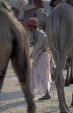 Hindistan 'ın Rajasthan ilindeki Bikaner kasabasında düzenlenen Bikaner Camel Festivali' nde bir deve çobanı. Hindistan, Bikaner, Ocak 1998