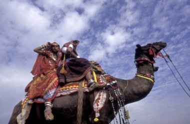 Hindistan 'ın Rajasthan ilindeki Bikaner kasabasında düzenlenen Bikaner Deve Festivali' nde geleneksel Rajasthani kıyafeti giymiş kadınlar. Hindistan, Bikaner, Ocak 1998