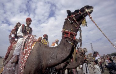 Hindistan 'ın Rajasthan ilindeki Bikaner kasabasında düzenlenen Bikaner Camel Festivali' nde deve çobanları. Hindistan, Bikaner, Ocak 1998