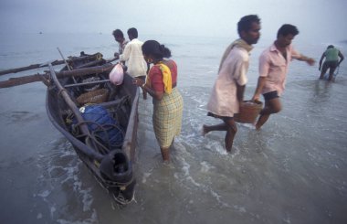 Balıkçılar taze balıkları ayırıyor ve Hindistan, Hindistan, Goa, Nisan 1996 'da Kolva şehrindeki bir balıkçı köyünün sahilinde satıyorlar.