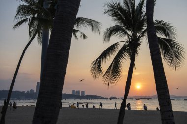 Pattaya Koyu 'ndaki Pattaya Sahili' nde gün batımına kadar Tayland 'ın Chonburi ilçesinde yer alan Pattaya Sahili, Kasım 2024