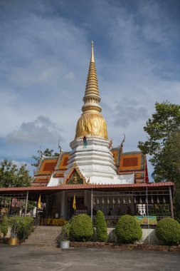 Wat Noen Pha, Tayland 'ın Rayong şehrindeki Rayong şehrinde, 26 Ekim 2024