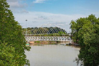 Mangrove Orman Köprüsü Sapan Pa Chai Len, Tayland 'ın Rayong şehrindeki Rayong şehrinde, 26 Ekim 2024