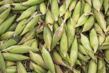 Tayland, Tayland, Rayong 'daki Rayong şehrindeki Food and Star taze pazarında mısır, 24 Ekim 2024
