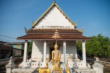 Wat Chimphli Sutthawat Tayland 'ın Nonthaburi eyaletindeki Pak Kret şehrindeki Ko Kret Adası' nda. Tayland, Pak Kret, 10 Kasım 2024