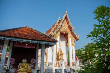 Wat Chimphli Sutthawat Tayland 'ın Nonthaburi eyaletindeki Pak Kret şehrindeki Ko Kret Adası' nda. Tayland, Pak Kret, 10 Kasım 2024