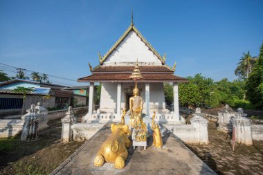 Wat Chimphli Sutthawat Tayland 'ın Nonthaburi eyaletindeki Pak Kret şehrindeki Ko Kret Adası' nda. Tayland, Pak Kret, 10 Kasım 2024