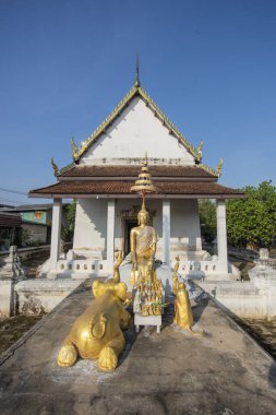 Wat Chimphli Sutthawat Tayland 'ın Nonthaburi eyaletindeki Pak Kret şehrindeki Ko Kret Adası' nda. Tayland, Pak Kret, 10 Kasım 2024