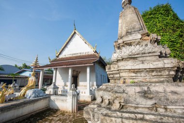 Wat Chimphli Sutthawat Tayland 'ın Nonthaburi eyaletindeki Pak Kret şehrindeki Ko Kret Adası' nda. Tayland, Pak Kret, 10 Kasım 2024