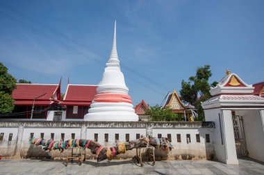 Tayland, Nonthaburi 'deki Pak Kret şehrindeki Ko Kret Adası' nda Wat Sao Tanga Tangası. Tayland, Pak Kret, 10 Kasım 2024