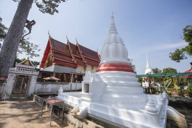 Tayland, Nonthaburi 'deki Pak Kret şehrindeki Ko Kret Adası' nda Wat Sao Tanga Tangası. Tayland, Pak Kret, 10 Kasım 2024