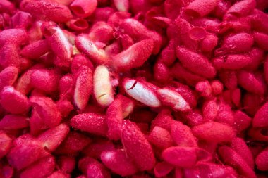 İpek Böceği Kozaları Tayland 'ın Khon Kaen ilinin şehir merkezinde İpek Fuarı' nda. Tayland, Khon Kaen, 5 Aralık 2024