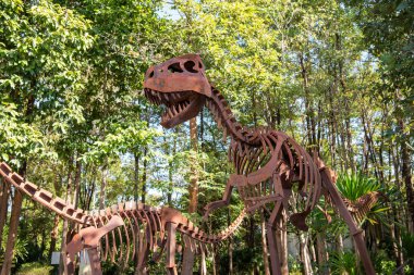 Tayland 'ın Khon Kaen ilindeki Amphoe Phu Wiang' daki Phu Wiang Dinozor Müzesi 'nde bir dinozor. Tayland, Khon Kaen, 6 Aralık 2024