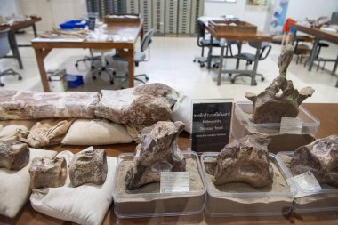 Tayland 'ın Khon Kaen ilindeki Amphoe Phu Wiang' daki Phu Wiang Dinozor Müzesi 'nde bir laboratuvar. Tayland, Khon Kaen, 6 Aralık 2024
