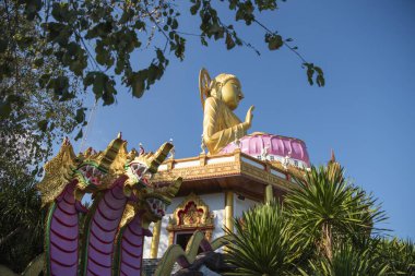 Wat Tham Pha Keung, Amphoe Phu Wiang, Tayland 'da Khon Kaen' de. Tayland, Khon Kaen, 6 Aralık 2024