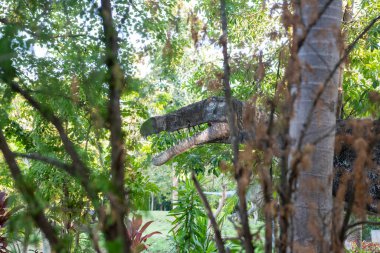 Tayland 'ın Khon Kaen şehrinde Amphoe Phu Wiang' daki Khon Kaen Geopark 'ta dinozor. Tayland, Khon Kaen, 6 Aralık 2024