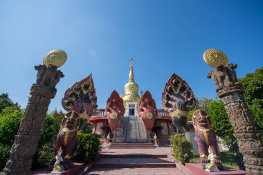 Amphoe Phu Wiang, Wat Pa Kittiyanusorn 'daki Chedi Tayland' ın Khon Kaen ilinde. Tayland, Khon Kaen, 6 Aralık 2024
