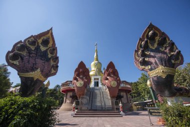Amphoe Phu Wiang, Wat Pa Kittiyanusorn 'daki Chedi Tayland' ın Khon Kaen ilinde. Tayland, Khon Kaen, 6 Aralık 2024