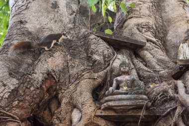 Tayland 'ın kuzeyindeki Phitsanulok ili ve Wat Ratchaburana Tapınağı' nda bir Buda. Tayland, Phitsanulok, Kasım 29, 2024.