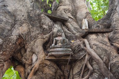 Tayland 'ın kuzeyindeki Phitsanulok ili ve Wat Ratchaburana Tapınağı' nda bir Buda. Tayland, Phitsanulok, Kasım 29, 2024.