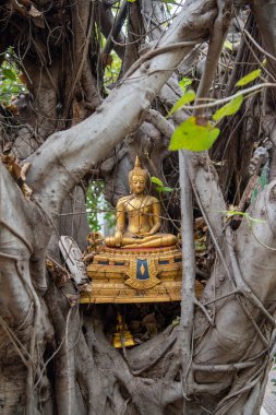 Tayland 'ın kuzeyindeki Phitsanulok ili ve Wat Ratchaburana Tapınağı' nda bir Buda. Tayland, Phitsanulok, Kasım 29, 2024.