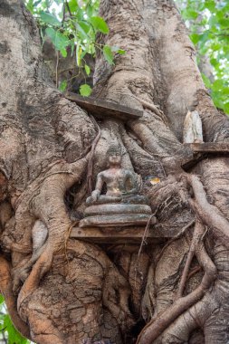 Tayland 'ın kuzeyindeki Phitsanulok ili ve Wat Ratchaburana Tapınağı' nda bir Buda. Tayland, Phitsanulok, Kasım 29, 2024.