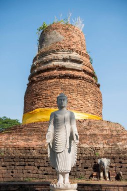 Wat Aranyik 'teki Chedi harabeleri. Tayland' ın Phitsanulok kenti. Tayland, Phitsanulok, 30 Kasım 2024.