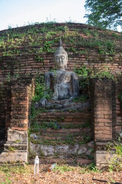 Tayland 'da Chandra Sarayı ve Phitsanulok ilinin yanındaki Wat Wihan Thong tarihi kalıntıları. Tayland, Phitsanulok, 1 Aralık 2024.