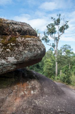 Tayland 'ın Phitsanulok kenti yakınlarındaki Phu Hin Rong Kla Ulusal Kark' taki kaya oluşumlarıyla manzara. Tayland, Phitsanulok, 16 Aralık 2018.