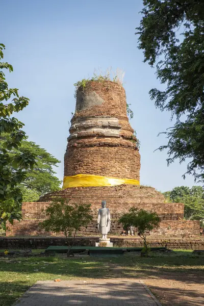 Wat Aranyik 'teki Chedi harabeleri. Tayland' ın Phitsanulok kenti. Tayland, Phitsanulok, 30 Kasım 2024.