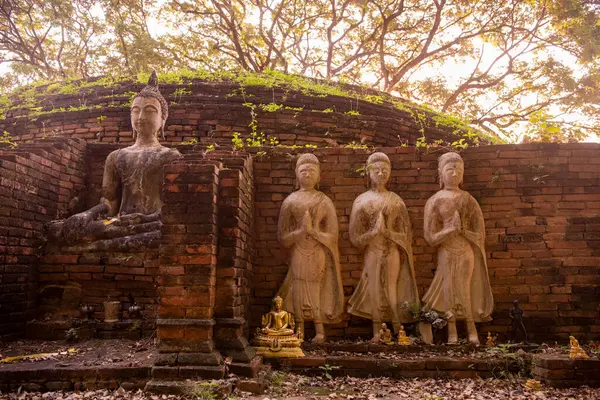 Tayland 'da Chandra Sarayı ve Phitsanulok ilinin yanındaki Wat Wihan Thong tarihi kalıntıları. Tayland, Phitsanulok, 1 Aralık 2024.