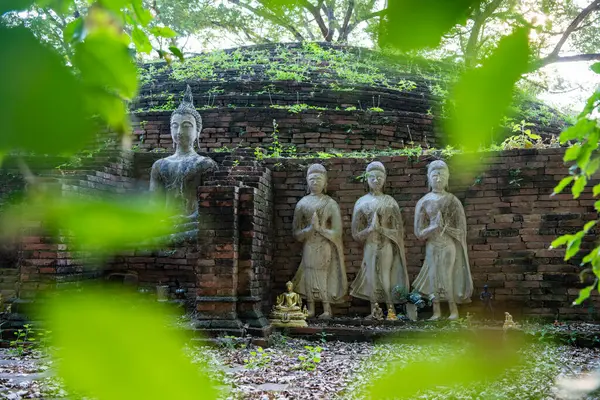 Tayland 'da Chandra Sarayı ve Phitsanulok ilinin yanındaki Wat Wihan Thong tarihi kalıntıları. Tayland, Phitsanulok, 1 Aralık 2024.