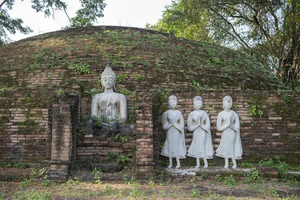 Tayland 'da Chandra Sarayı ve Phitsanulok ilinin yanındaki Wat Wihan Thong tarihi kalıntıları. Tayland, Phitsanulok, 1 Aralık 2024.