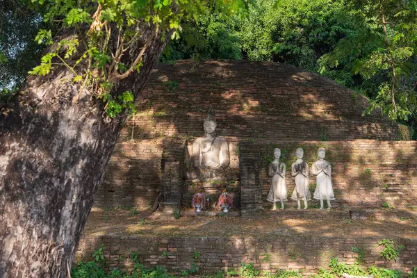 Tayland 'da Chandra Sarayı ve Phitsanulok ilinin yanındaki Wat Wihan Thong tarihi kalıntıları. Tayland, Phitsanulok, 1 Aralık 2024.