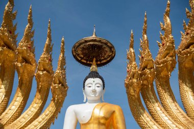 Uttaradit şehrinin Uttaradit kenti yakınlarındaki Wat Khung Taphao 'da Büyük Buda. Tayland, Uttaradit, 26 Kasım 2024.