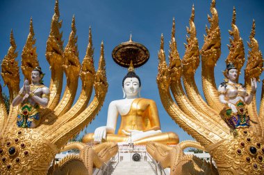 Uttaradit şehrinin Uttaradit kenti yakınlarındaki Wat Khung Taphao 'da Büyük Buda. Tayland, Uttaradit, 26 Kasım 2024.