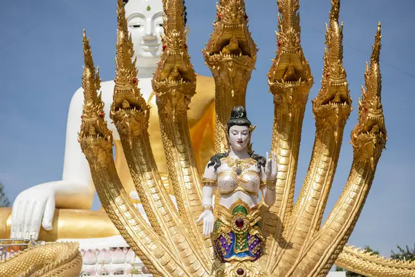 Uttaradit şehrinin Uttaradit kenti yakınlarındaki Wat Khung Taphao 'da Büyük Buda. Tayland, Uttaradit, 26 Kasım 2024.