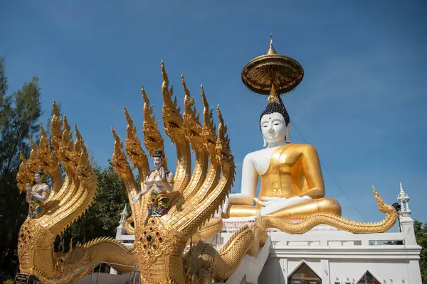 Uttaradit şehrinin Uttaradit kenti yakınlarındaki Wat Khung Taphao 'da Büyük Buda. Tayland, Uttaradit, 26 Kasım 2024.