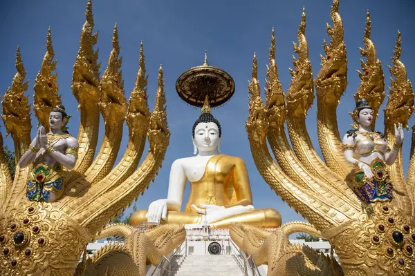 Uttaradit şehrinin Uttaradit kenti yakınlarındaki Wat Khung Taphao 'da Büyük Buda. Tayland, Uttaradit, 26 Kasım 2024.