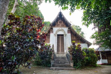 Tayland 'ın Uttaradit ilinin Uttaradit kenti yakınlarındaki Laplae Town' da Wat Don Sak. Tayland, Uttaradit, 26 Kasım 2024.