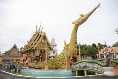 Wat Hong Sung, Tayland 'ın Uttaradit iline bağlı Uttaradit şehrinin yakınlarında. Tayland, Uttaradit, 27 Kasım 2024.