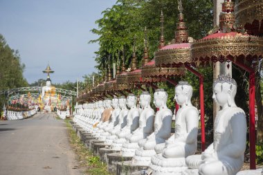 Tayland 'ın Uttaradit ili yakınlarındaki Wat Khung Taphao' da Buda figürleri. Tayland, Uttaradit, 26 Kasım 2024.