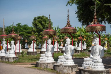 Tayland 'ın Uttaradit ili yakınlarındaki Wat Khung Taphao' da Buda figürleri. Tayland, Uttaradit, 26 Kasım 2024.