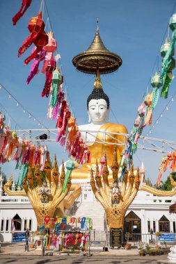 Uttaradit şehrinin Uttaradit kenti yakınlarındaki Wat Khung Taphao 'da Büyük Buda. Tayland, Uttaradit, 26 Kasım 2024.