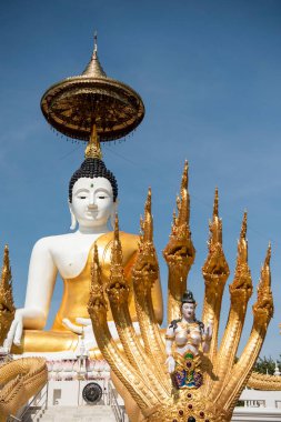 Uttaradit şehrinin Uttaradit kenti yakınlarındaki Wat Khung Taphao 'da Büyük Buda. Tayland, Uttaradit, 26 Kasım 2024.