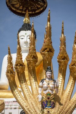 Uttaradit şehrinin Uttaradit kenti yakınlarındaki Wat Khung Taphao 'da Büyük Buda. Tayland, Uttaradit, 26 Kasım 2024.